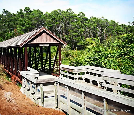 Bike Path Etiquette – Your Guide to Biking Along Scenic Highway 30A