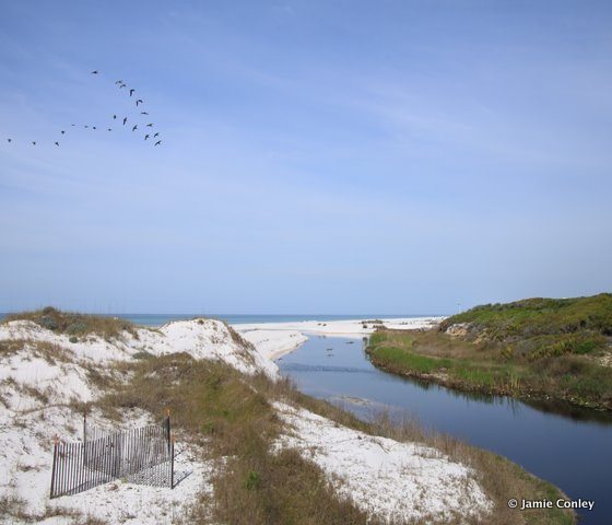 Camp Creek Coastal Dune Lake