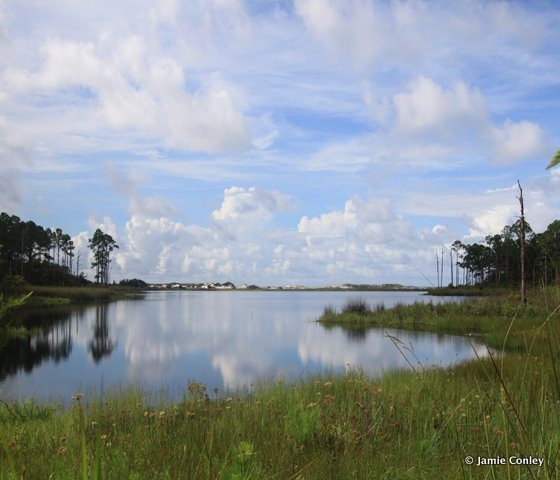 Deer Lake State Park in South Walton, Florida