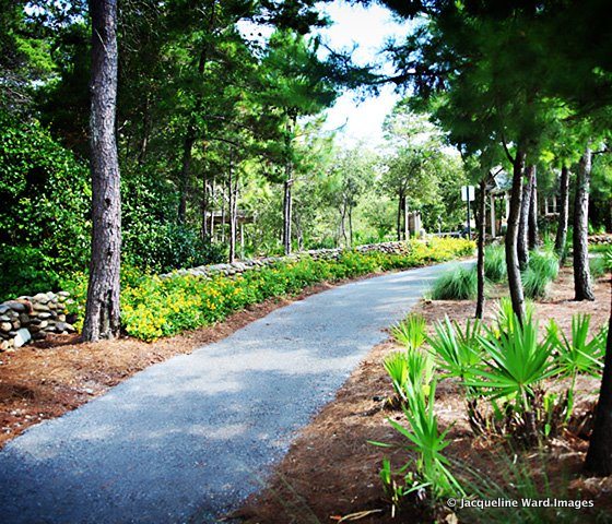 bike-path-family