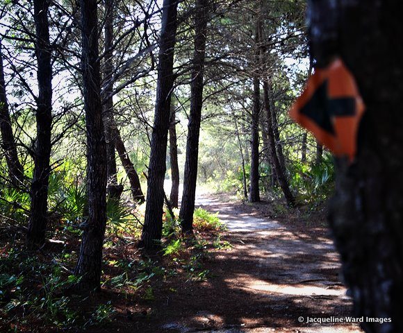 point washington nature trail biking