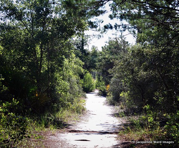 point washington nature trail