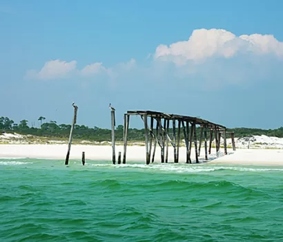 Camp Helen State Park