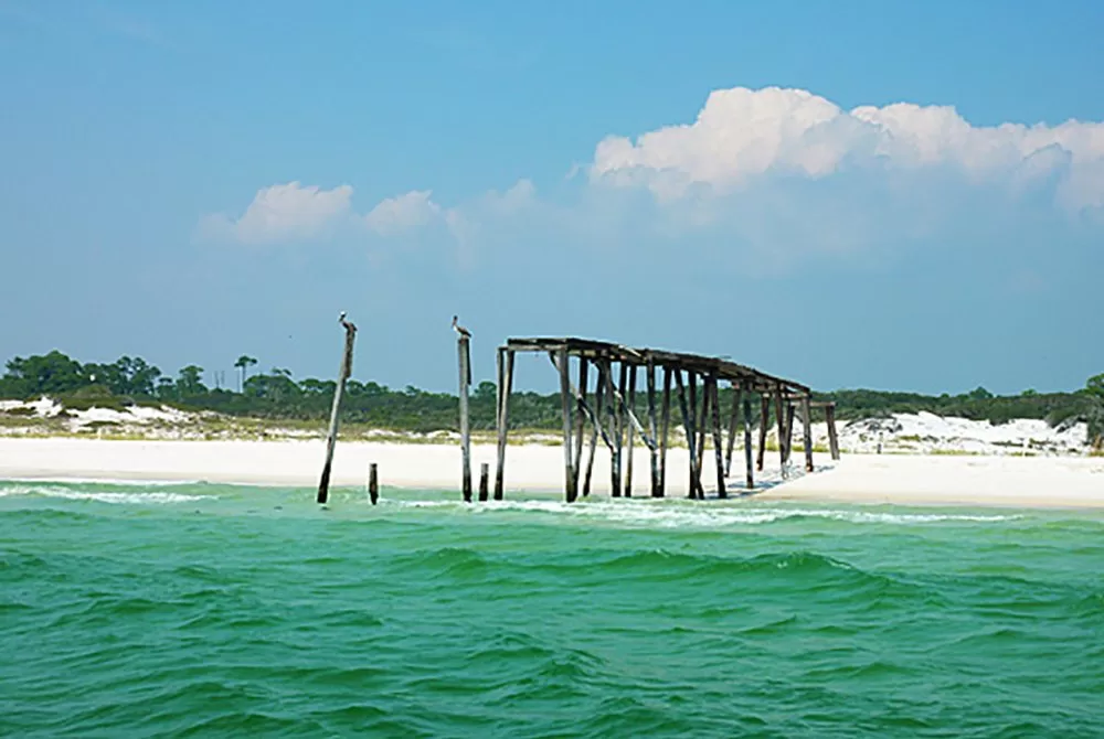 Camp Helen State Park