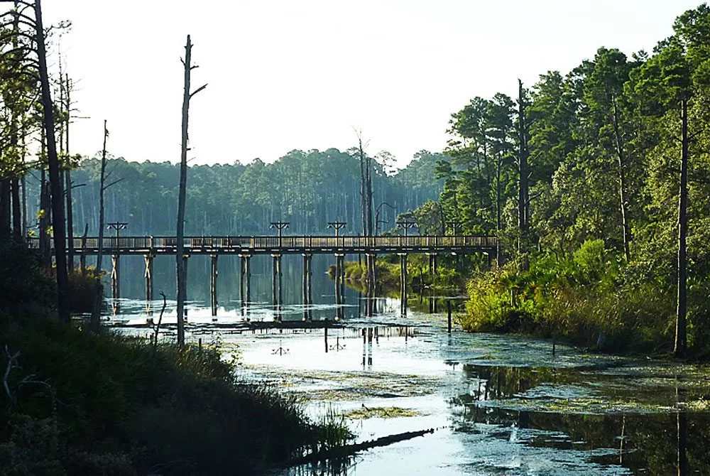 Florida’s Coastal Dune Lakes