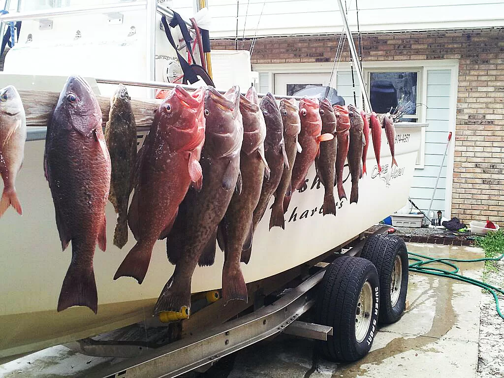 Nice Haul by ‘Fish On’ Charters