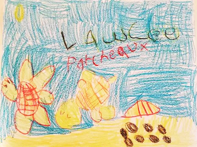 Miss Maddie’s Sea Turtles