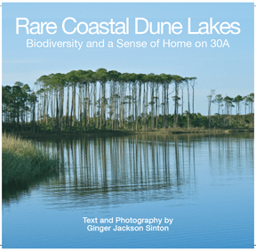 Rare Coastal Dune Lakes Book