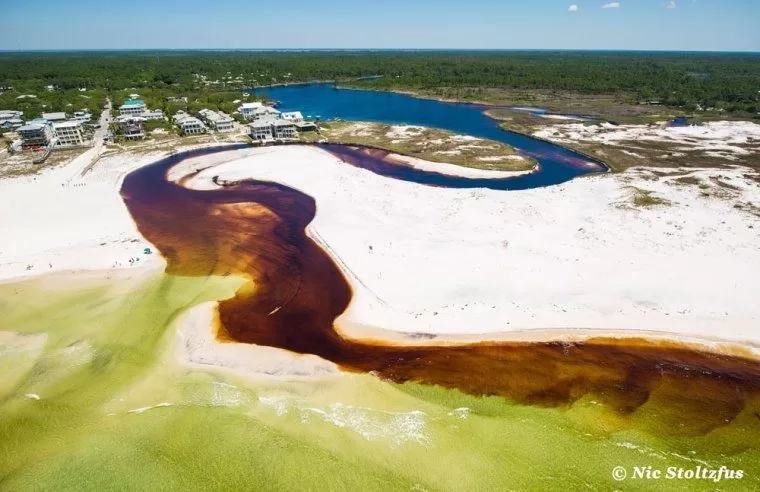 Don’t Panic, It’s Just Tannic: The Dune Lakes Color