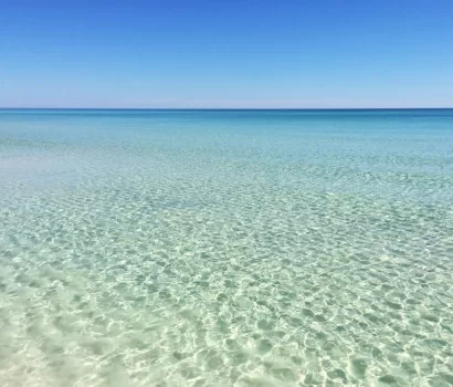 What’s the Deal With Sea Lice?
