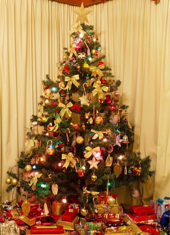 Christmas_Tree_NS