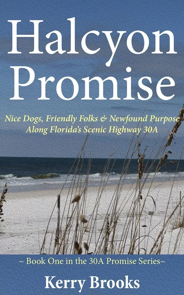 Halcyon Promise: Book One in the New 30A Series is Now Available