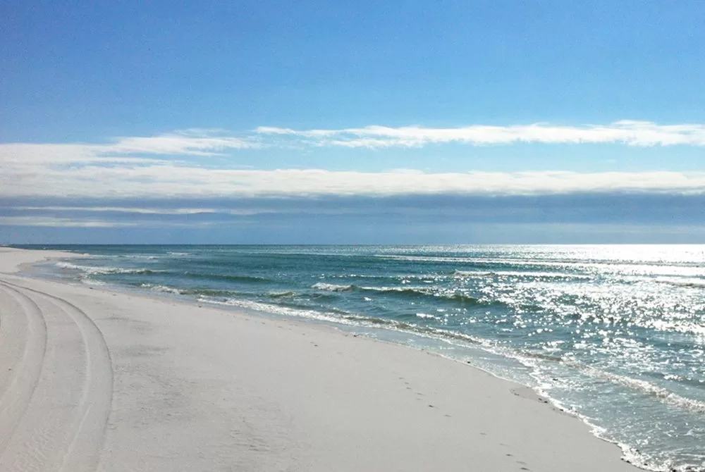 Clean-Up Day Clears More Than 16,000 Pieces of Trash from Beach