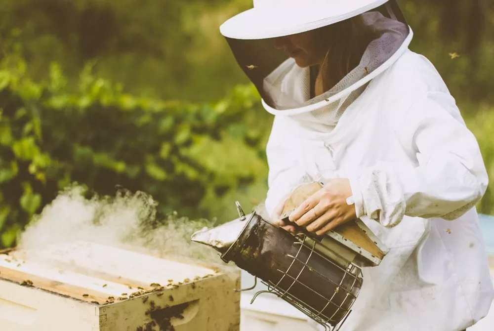 30A Honey is a Labor of Local Love