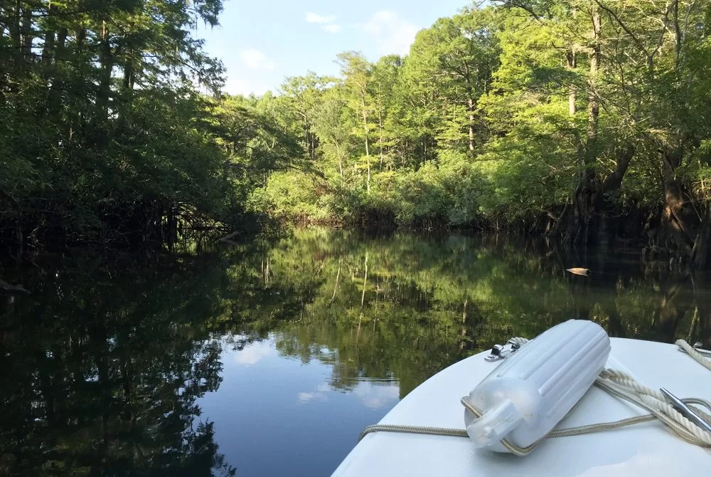 Secret Escapes: Find Hidden Seclusion on the Choctawhatchee River