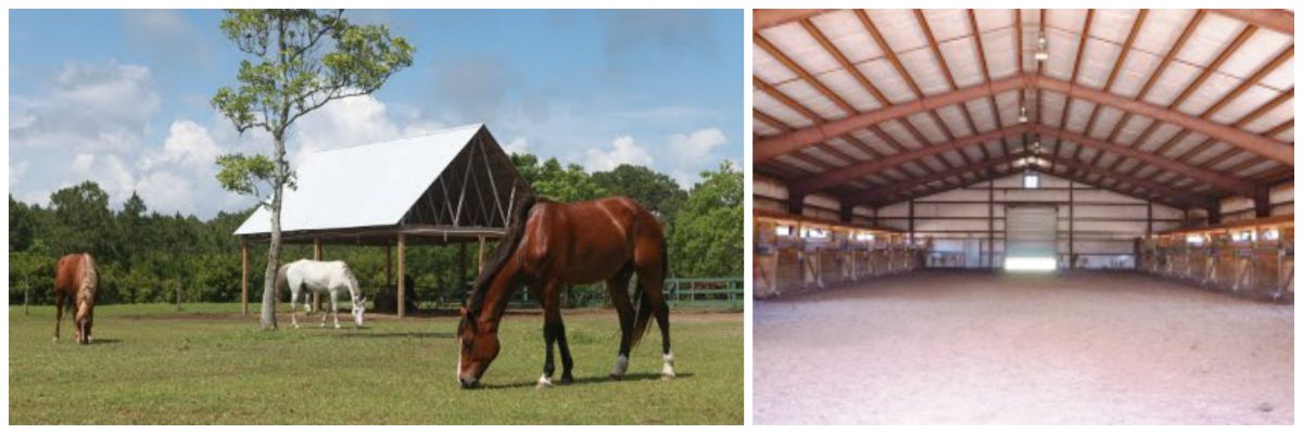 Arnett's Gulfside Trails converts their barn into a unique event space right next to their horse pasture and wooded trails.