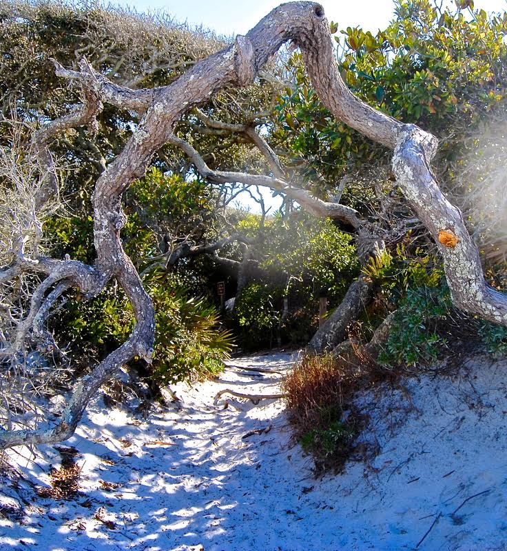 Grayton Beach State Park