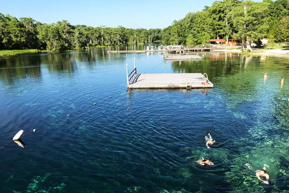 Off the Beaten Path: The Magic of Wakulla Springs