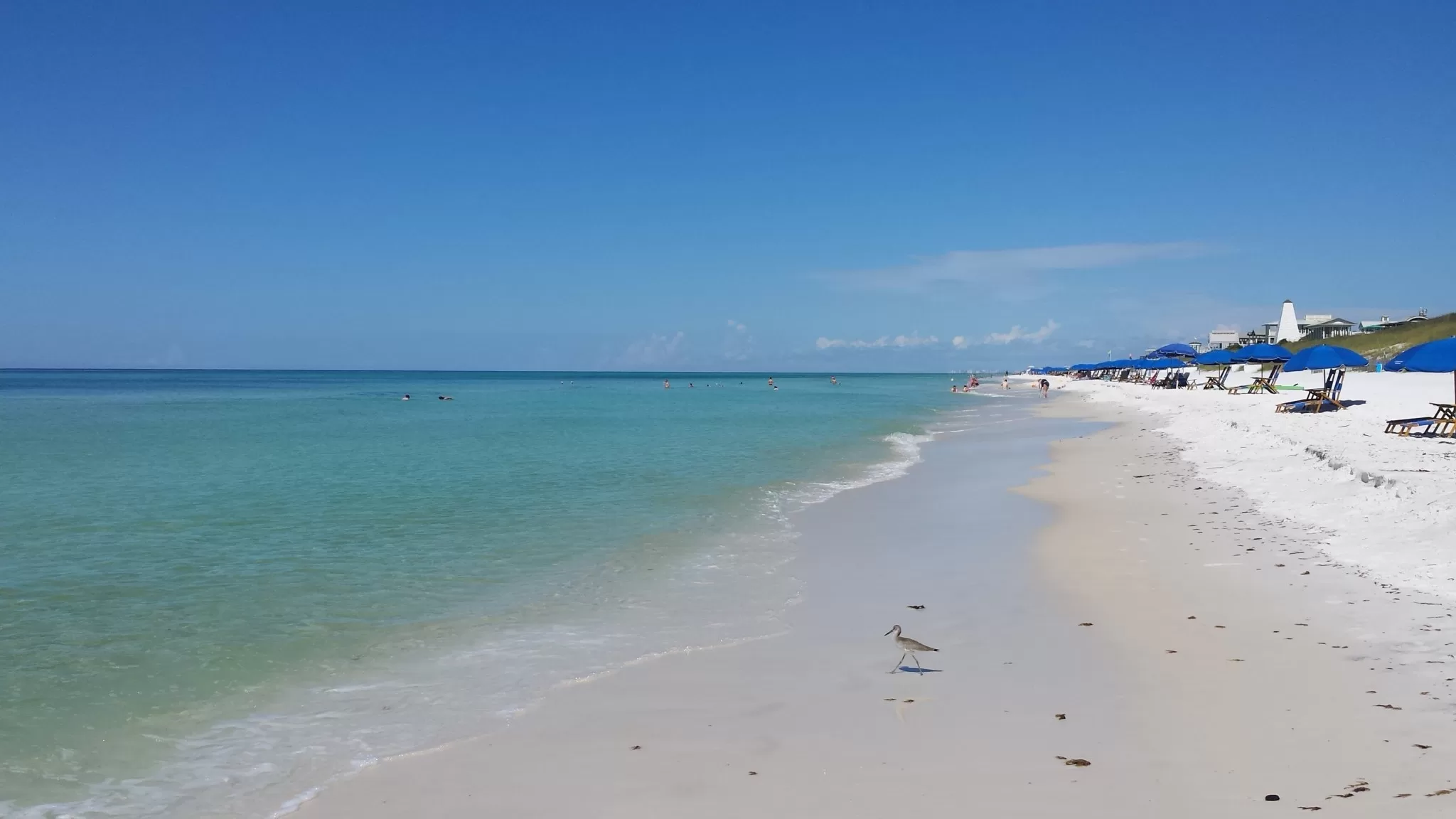 Finally! A Beach Read About Florida’s Beaches