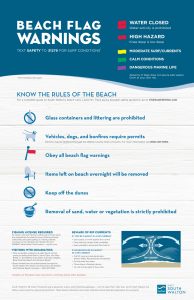 Beach Safety Poster 2016-01 - 30A