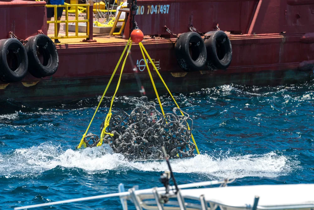 Evelyn Tickle is Making a Difference in our Ocean, One Oyster Reef at a Time