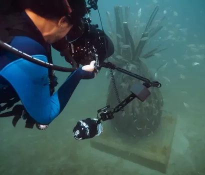 See How the Underwater Museum is Flourishing