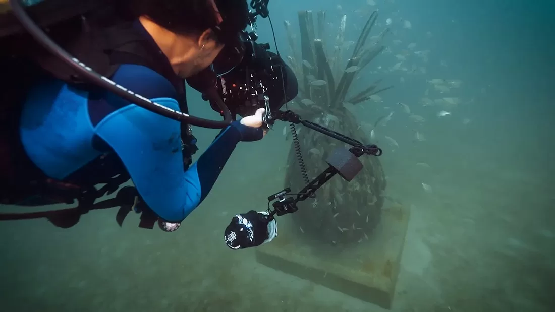 See How the Underwater Museum is Flourishing