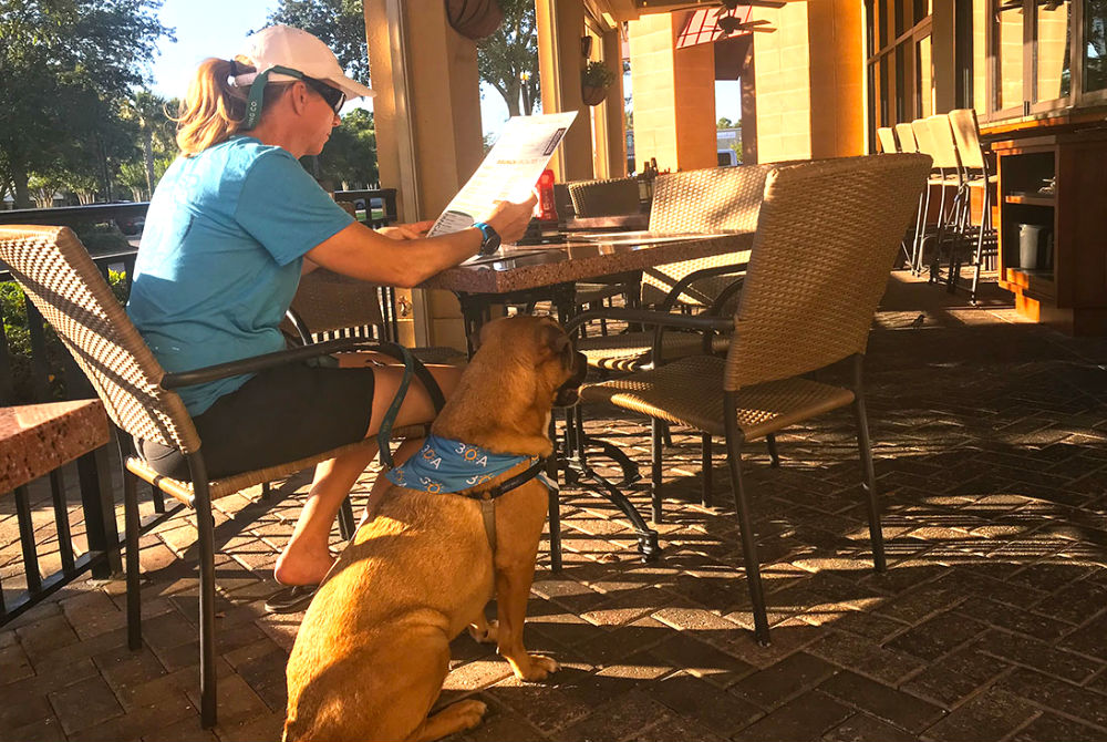 The Ultimate 30A Dog-Friendly Dining List