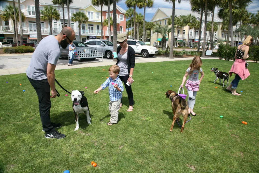 Bring Your Canine Friends to Doggie EGGstravaganza – Apr 18