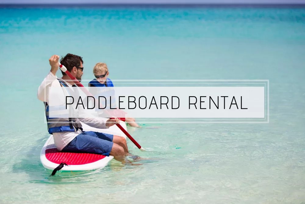 Paddleboard Rentals