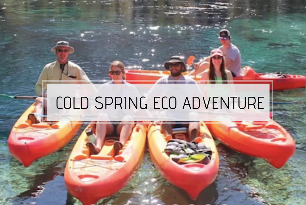 Cold Spring Eco Adventure