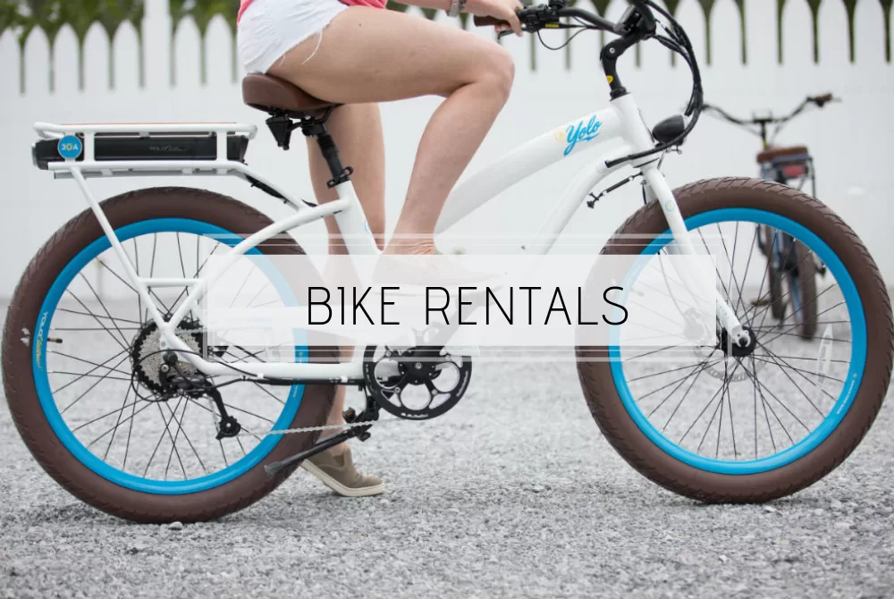 Bike Rentals