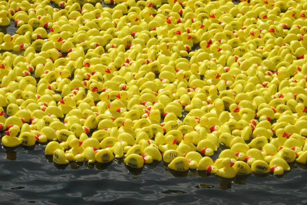 Emerald Coast Duck Regatta Returns to  Baytowne Wharf