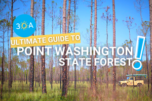 30A's Guide to Point Washington State Forest