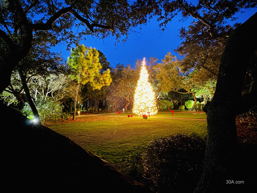 WaterColor, Florida, Cerulean Park, Christmas Tree