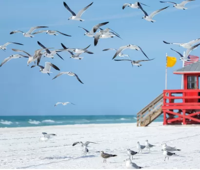 8 Reasons Why You Should Wake Up Early at the Beach