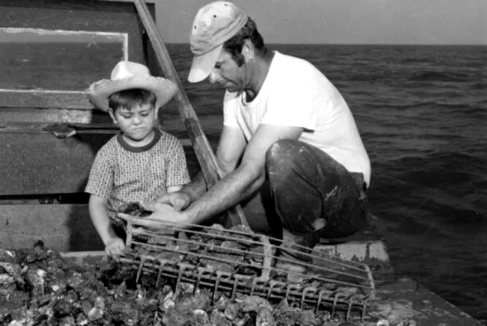 What’s the Latest on Apalachicola’s Oysters?