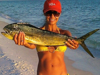 sara-fish-580&times;480