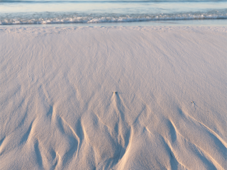 Jonah Allen_Veins of Sand No. 5 copy (1)