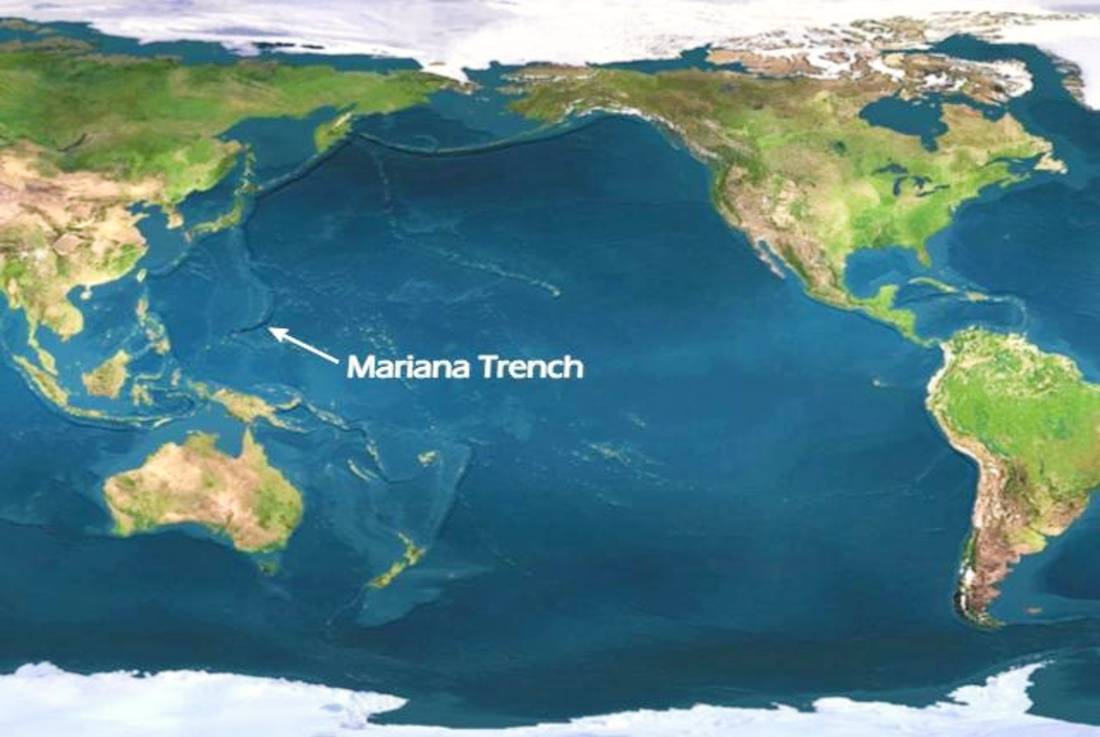 Trench marina Scientists Have