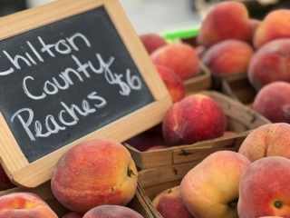 Photo Credit: Paul&rsquo;s Pick of the Crop at Chanticleer Bakery