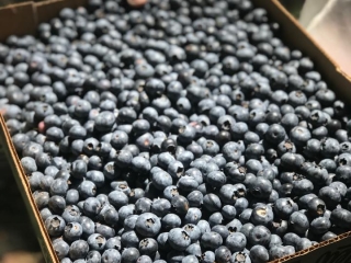 Photo Credit: Paul&rsquo;s Pick of the Crop at Chanticleer Bakery