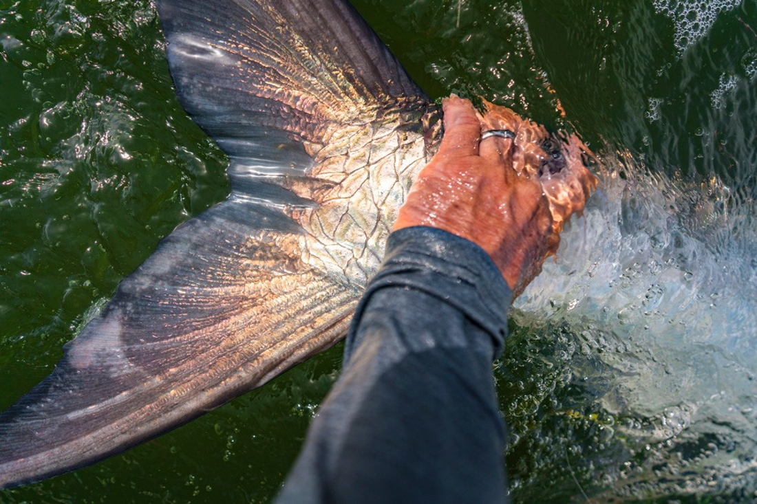 Man holds tail of fish caught from fishing