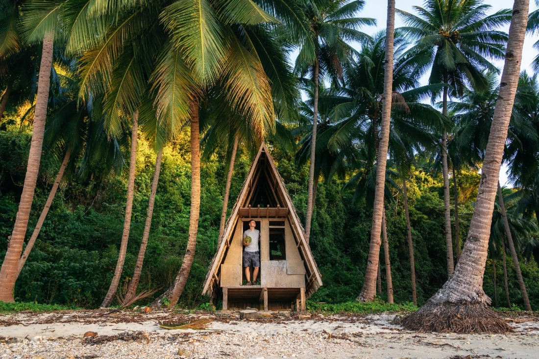 Hut between palm trees