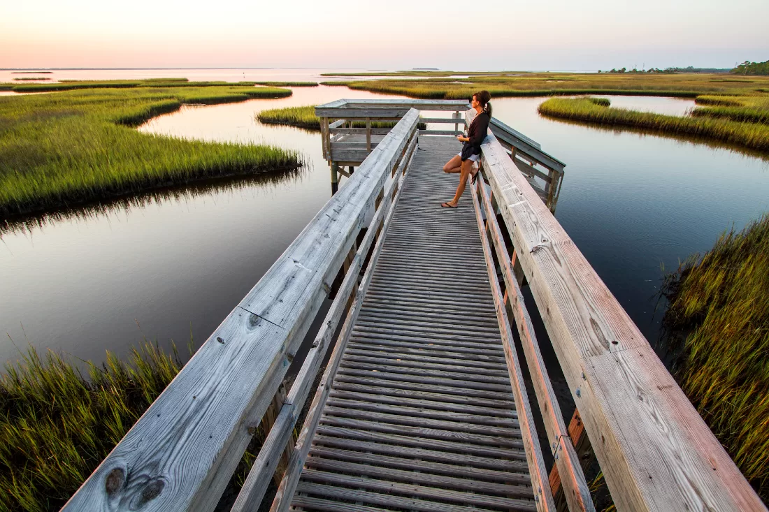 Cape San Blas: The Road To Recovery