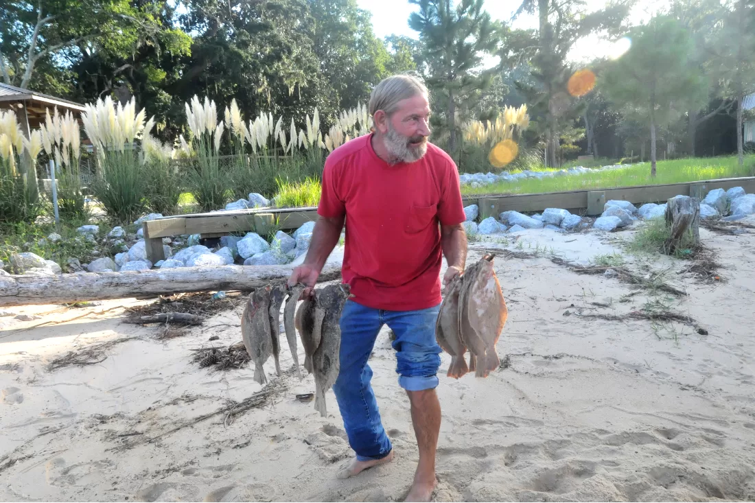 Nature’s Free-for-All Fish Fiesta in Mobile Bay, Alabama