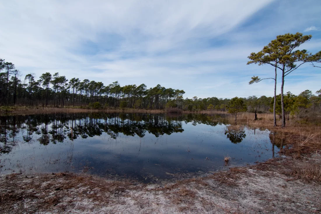 The Panhandle by Sean Dietrich