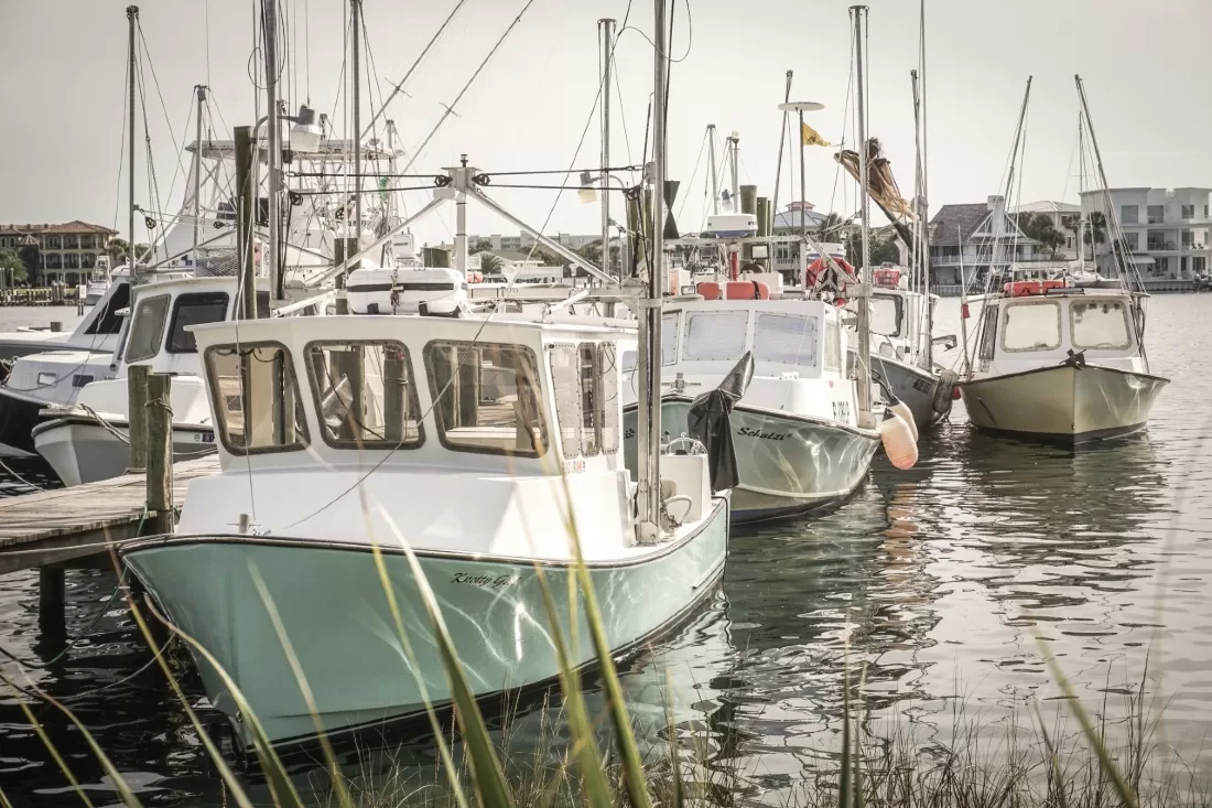 Harbor Dock’s Mission To Keep Seafood Fresh and Local