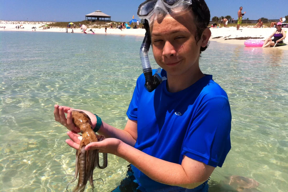 30A Sea Life Discovery Center: Inspiring the Next Generation To Protect Our Oceans