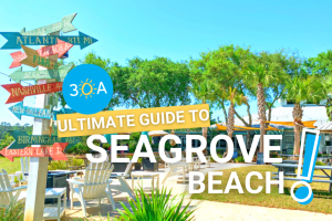 Ultimate Guide to Seagrove Beach